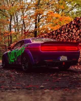 Vítejte u scény, která by klidně mohla být z natáčení. 🎬 Sytě fialový Challenger a podzimní les, kde vzduch praská energií...